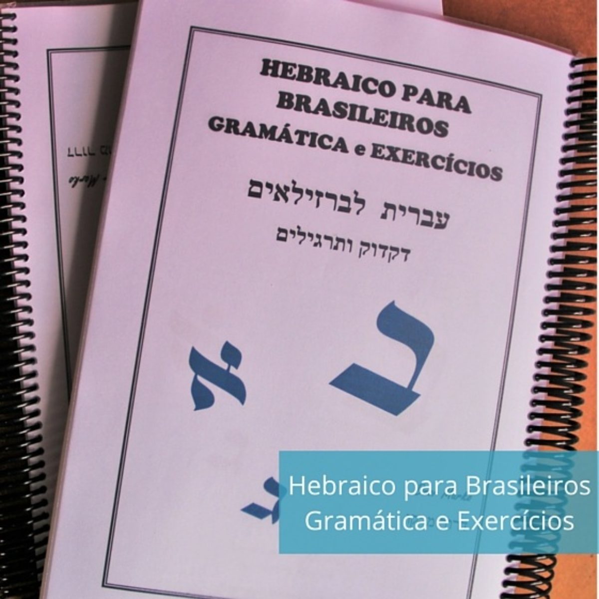 Gramática instrumental do hebraico - 4ª Ed.